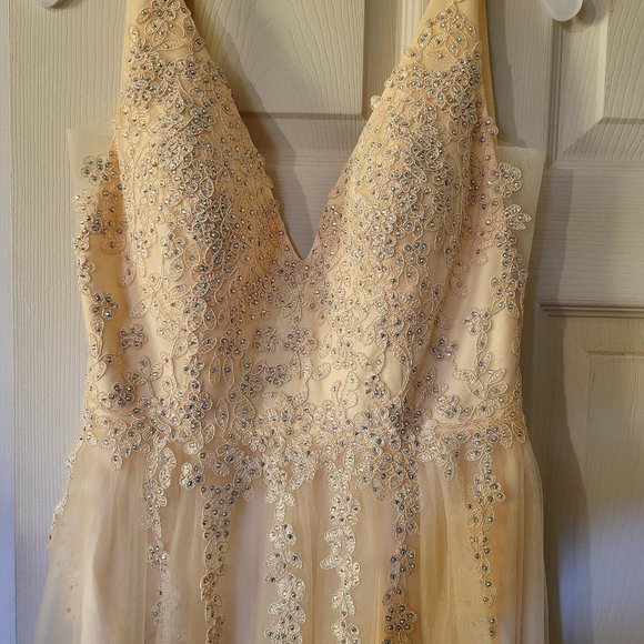 Blondie Nites/David's Bridal Dresses & Skirts - Prom Dress
